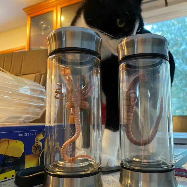 Alien specimen decorated glass jar