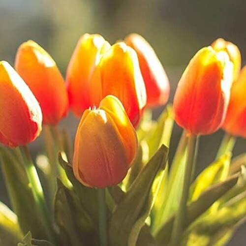 High Quality Artificial Latex Tulips(PCS 10)