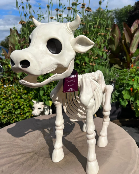 Cow & Horse Skeleton Halloween Decorative Prop