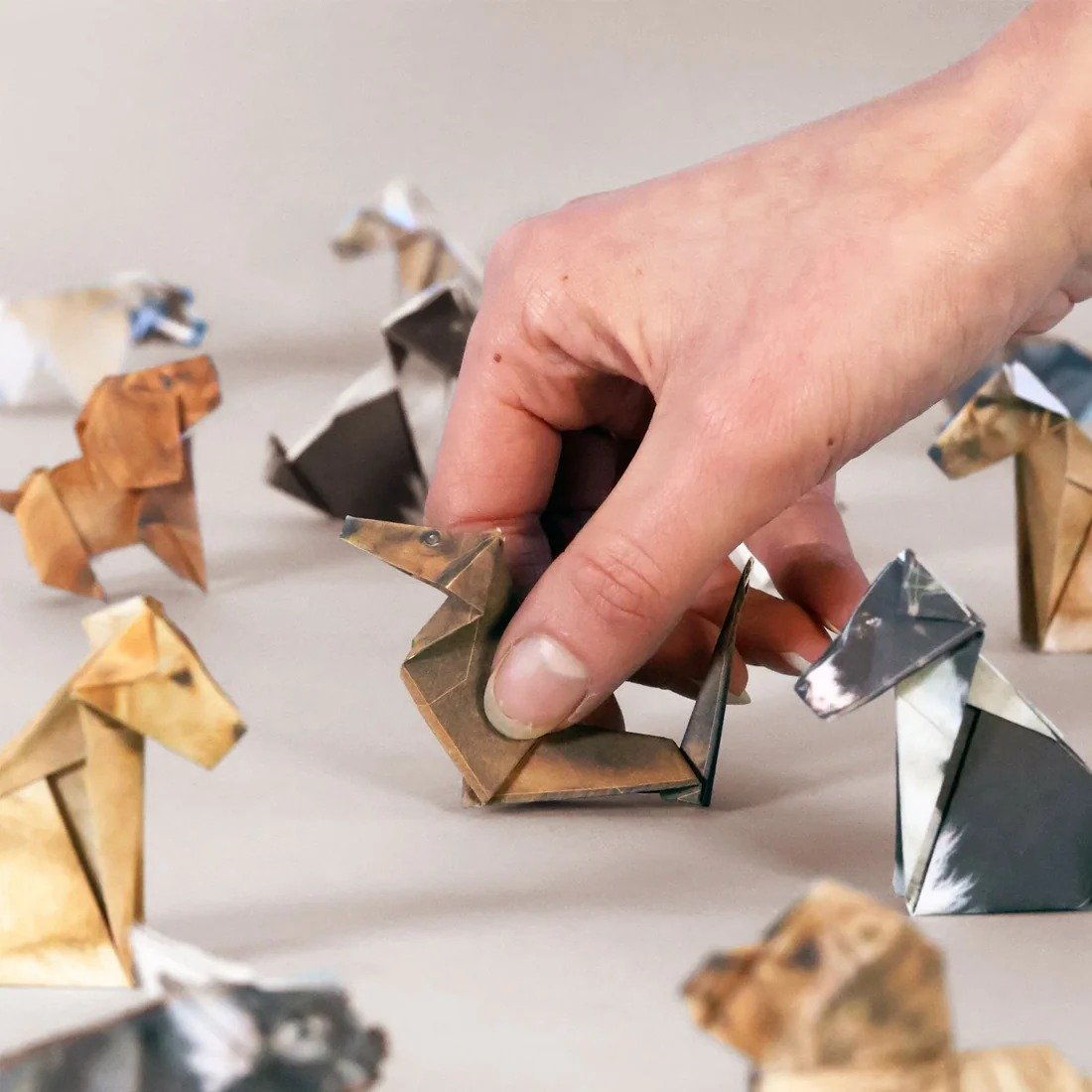 🐱DIY Paper Animals