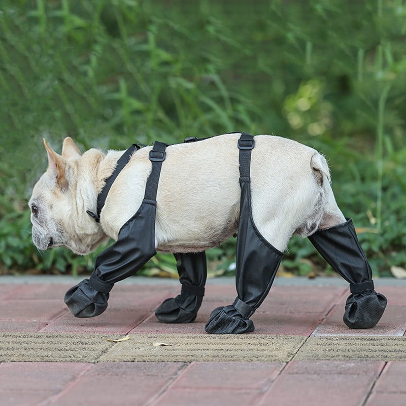 Suspender Boots