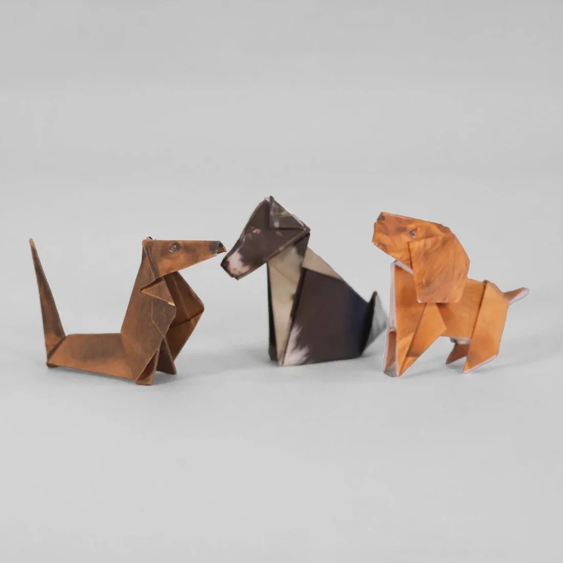 🐱DIY Paper Animals