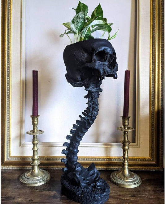 Skull Planter with Spine Stand