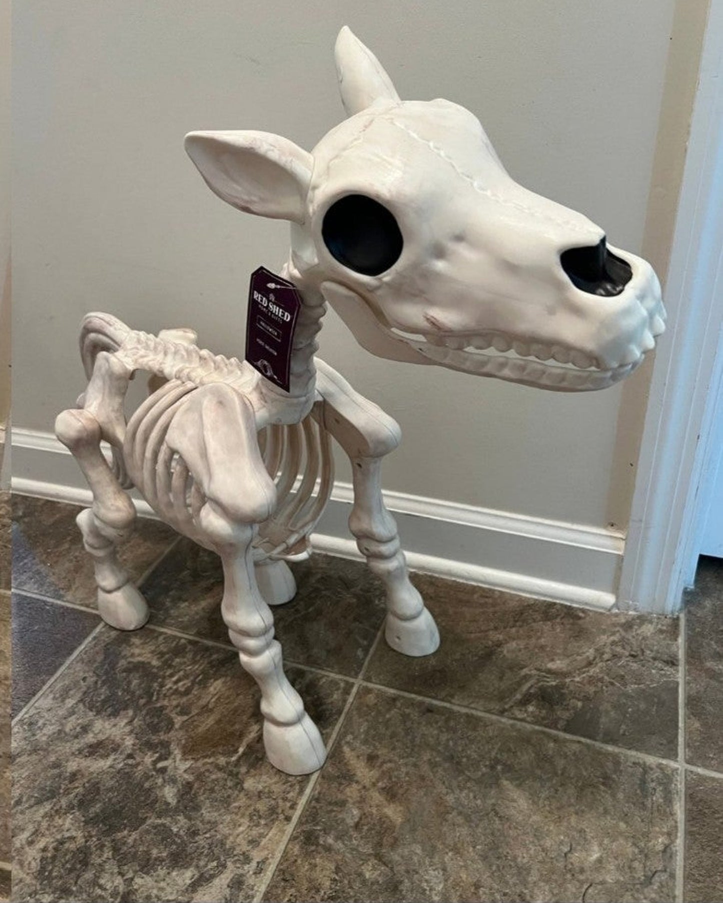 Cow & Horse Skeleton Halloween Decorative Prop