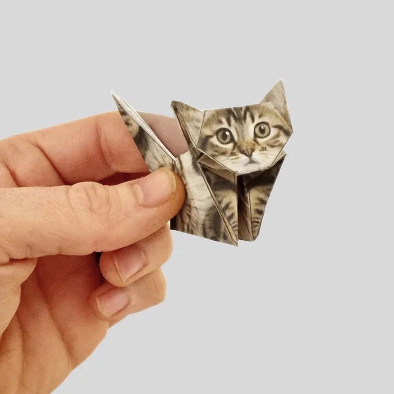 🐱DIY Paper Animals