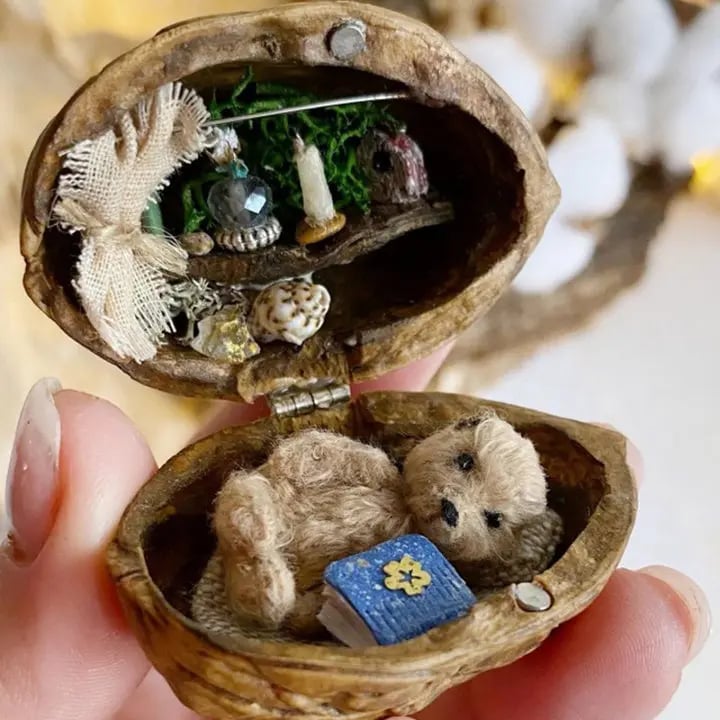 🏠 Handmade Walnut Shell Doll House--mini library, tiny World inside walnuts