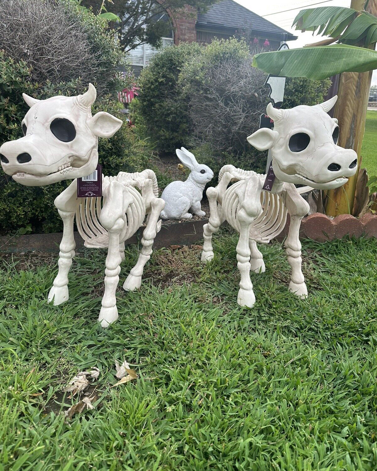 Cow & Horse Skeleton Halloween Decorative Prop