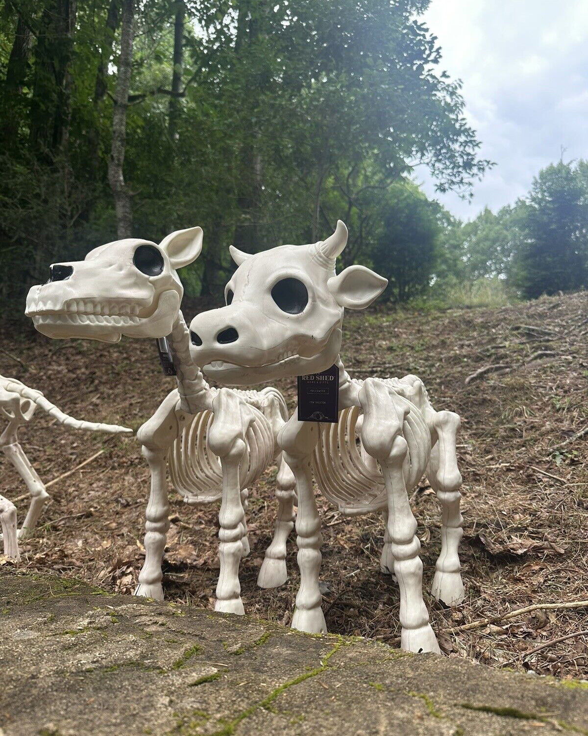 Cow & Horse Skeleton Halloween Decorative Prop