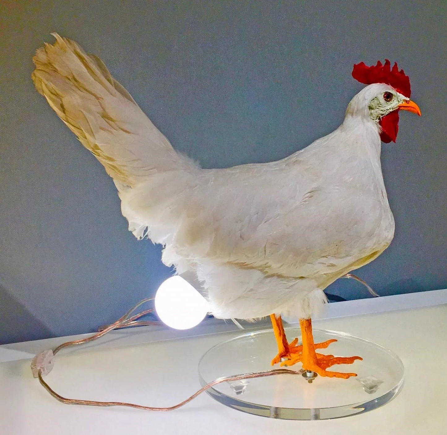 This Taxidermy Chicken Egg Lamp Exists, and We Begrudgingly Love It