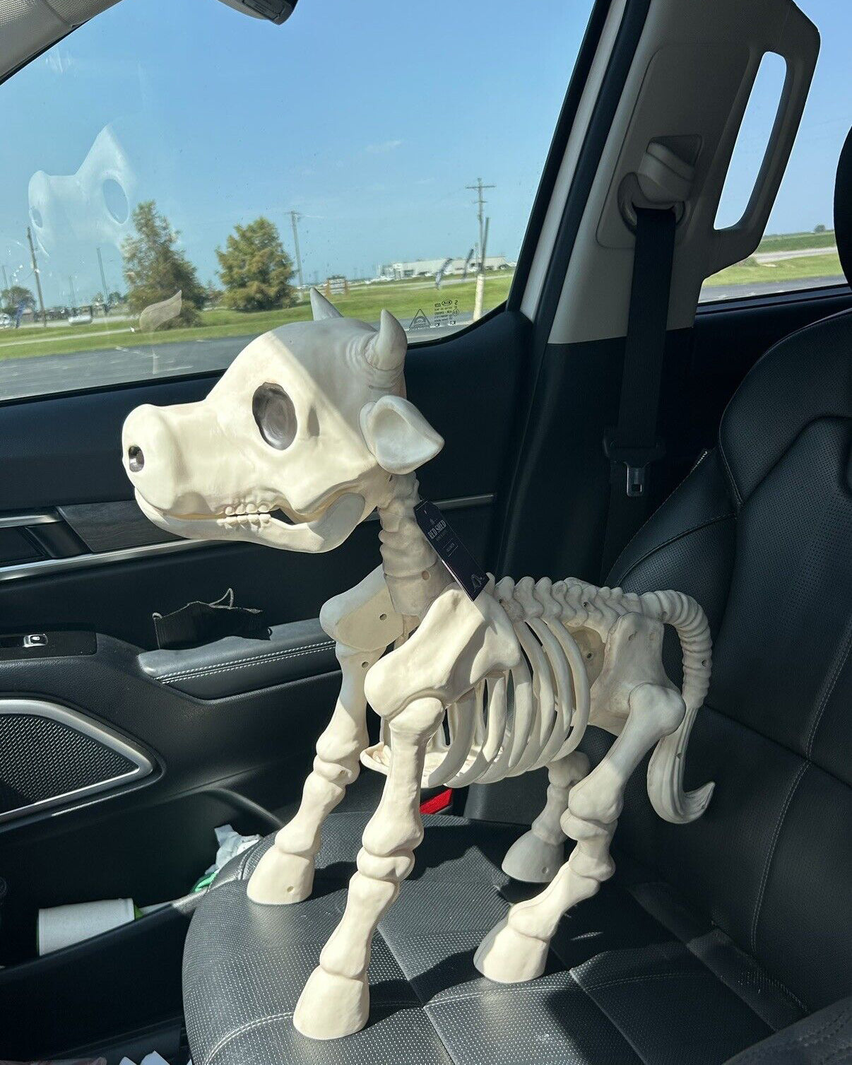 Cow & Horse Skeleton Halloween Decorative Prop