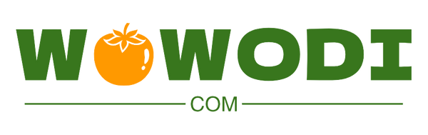 wowodi.com